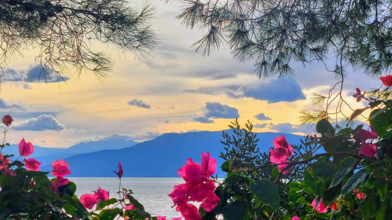 Photo of Outdoor in Iria