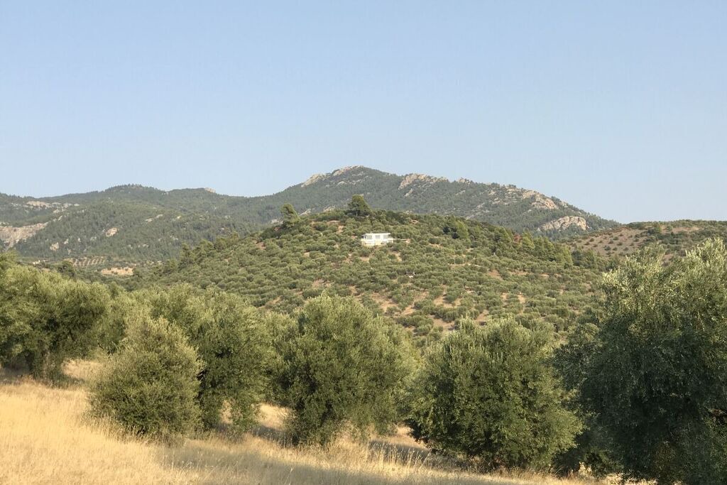 Photo of Outdoor in Paradhisos