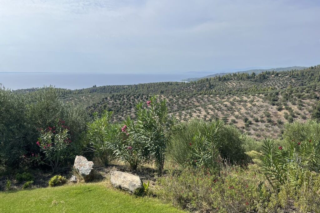 Photo of Outdoor in Paradhisos