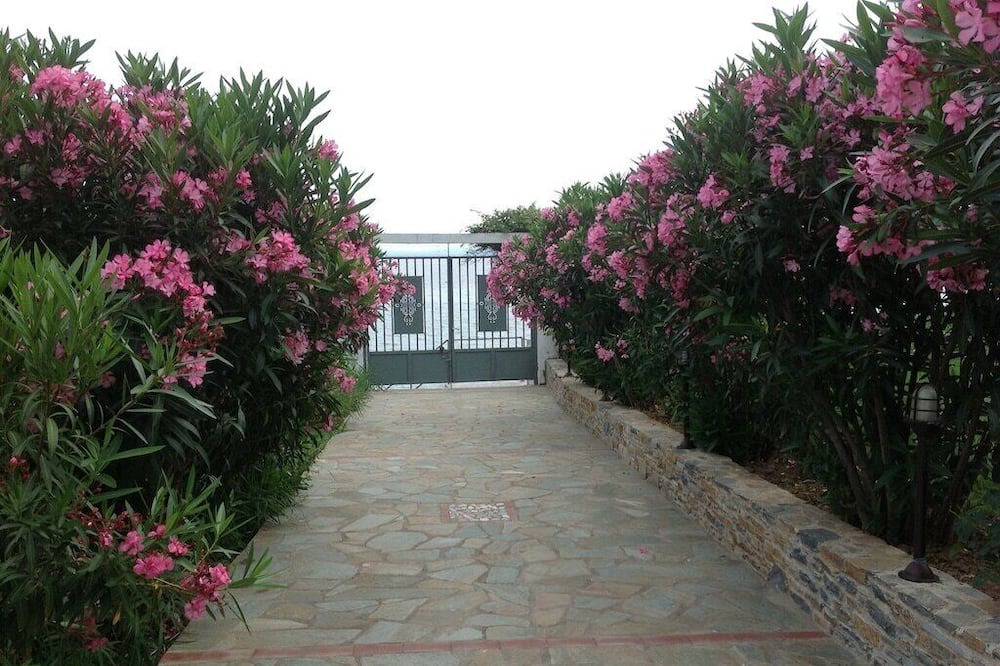 Photo of Outdoor in Elios