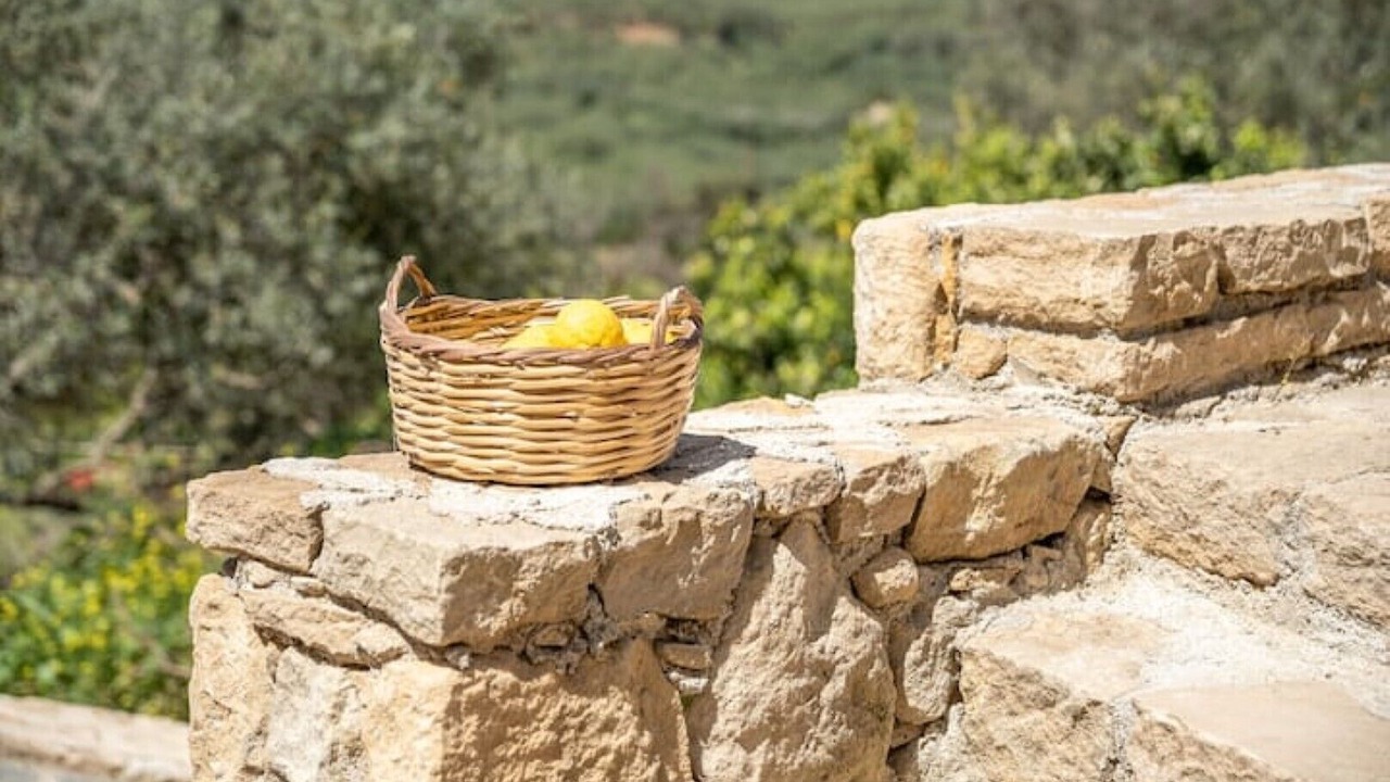 Photo of Outdoor in Topolia