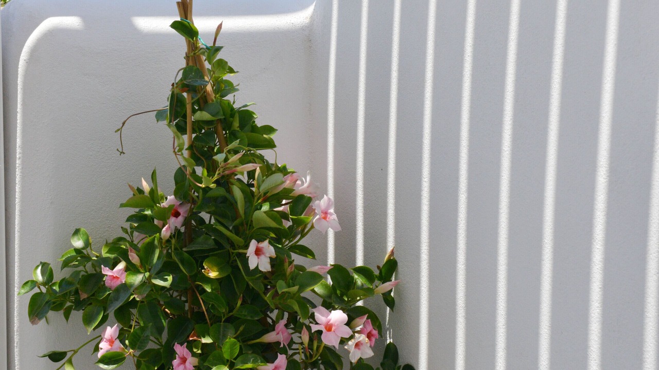 Photo of Outdoor in Glinado