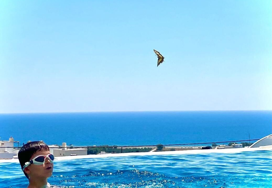 Photo of Outdoor in Koutsounari