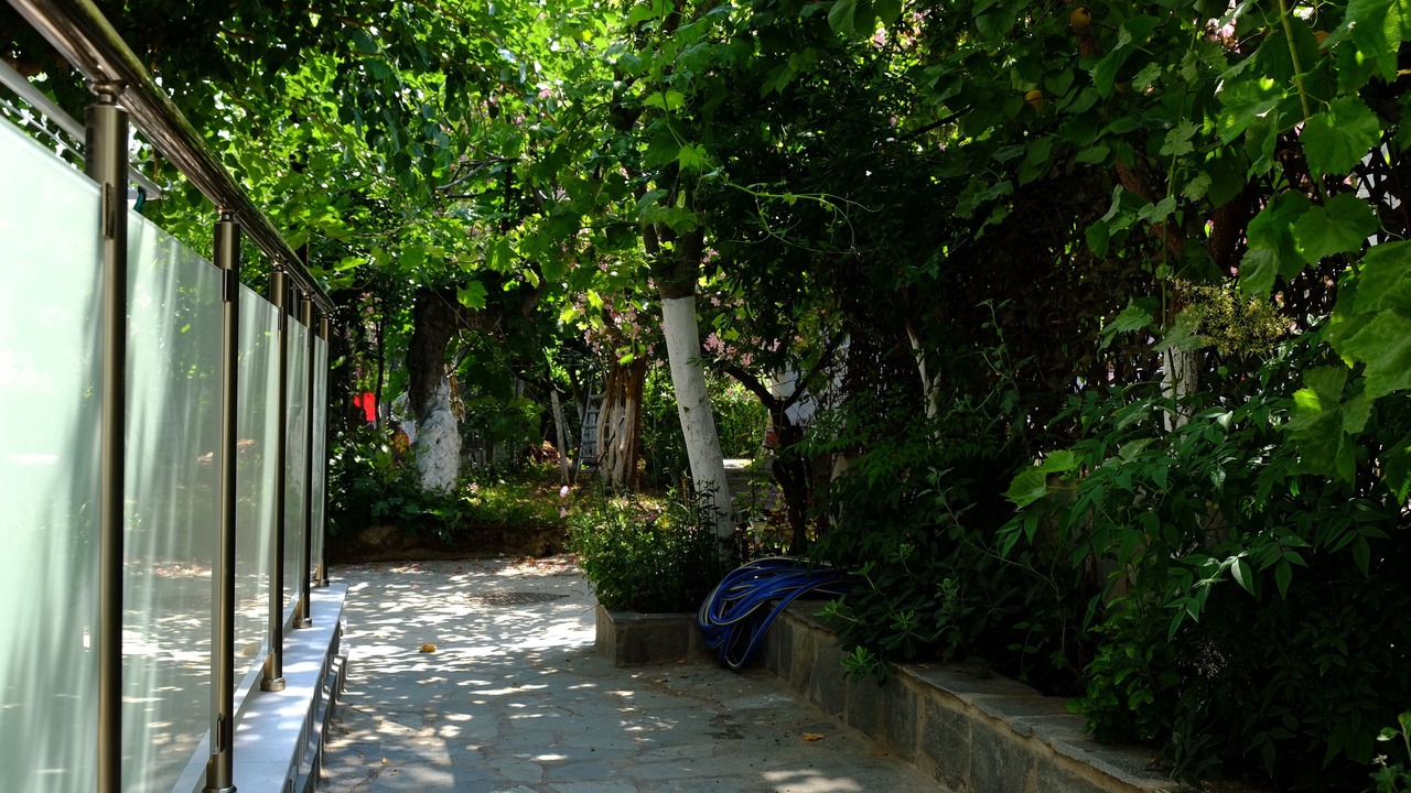 Photo of Outdoor in Thasos Town