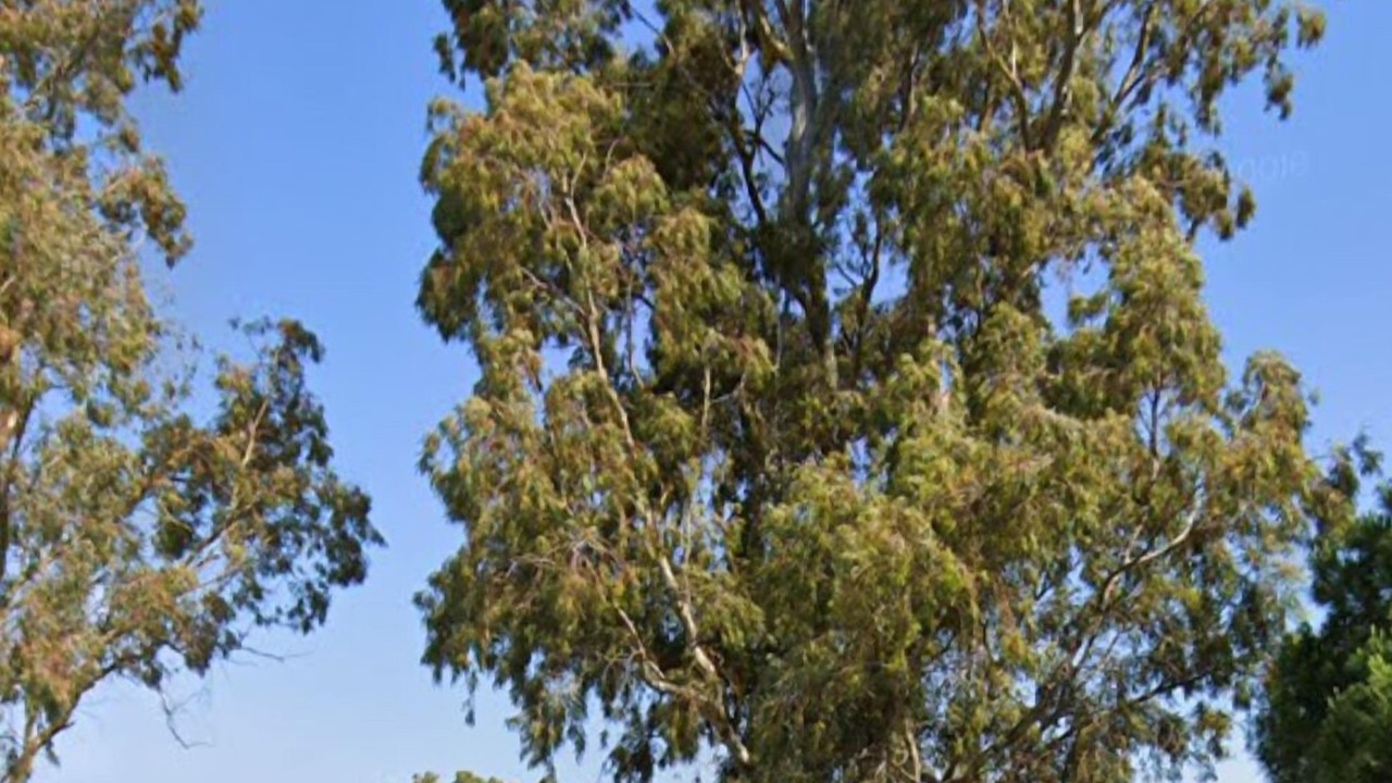 Photo of Outdoor in Lefkada Town
