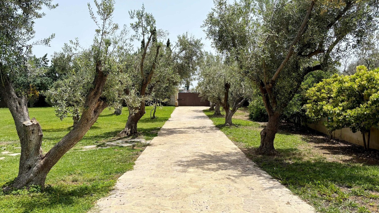 Photo of Outdoor in Agii Theodori