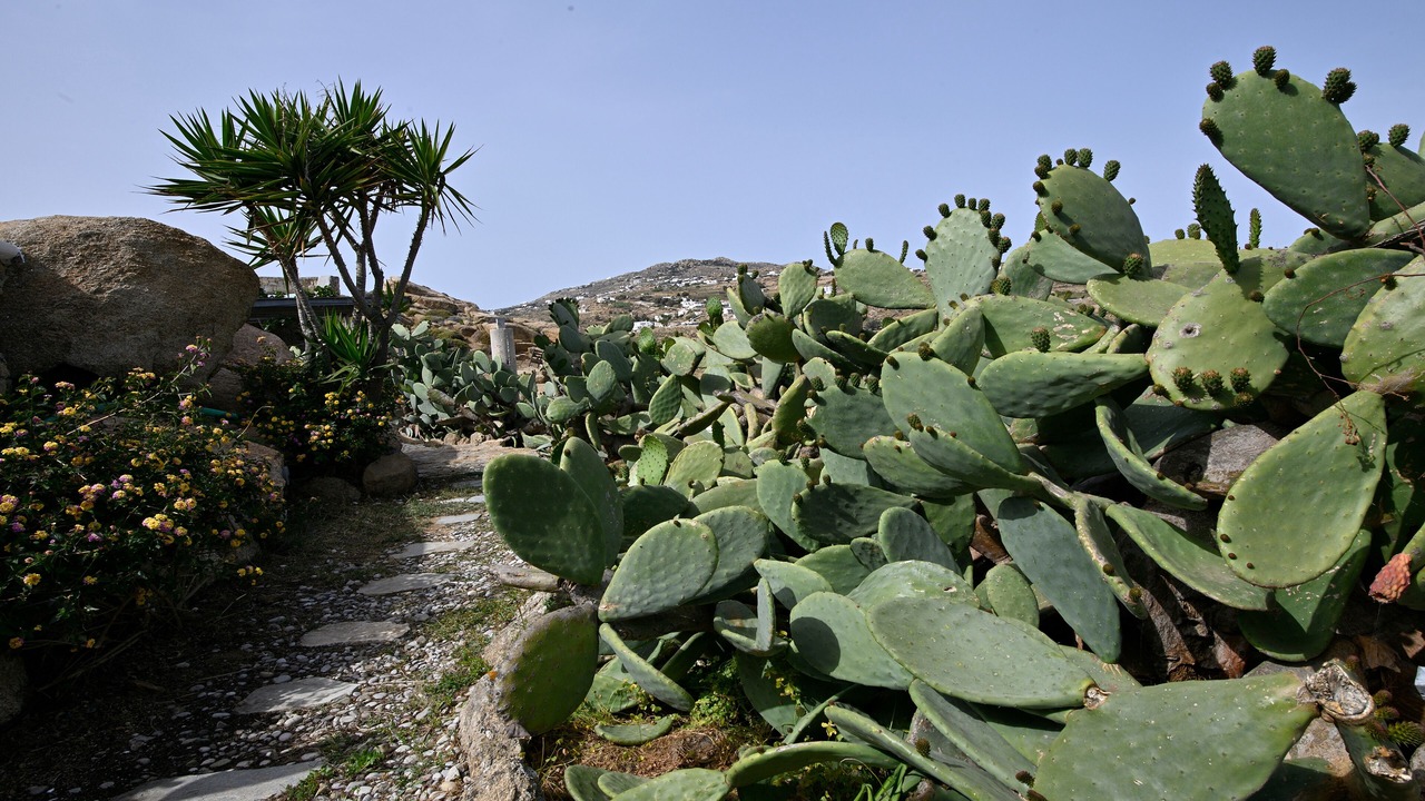 Photo of Outdoor in Platis Gialos