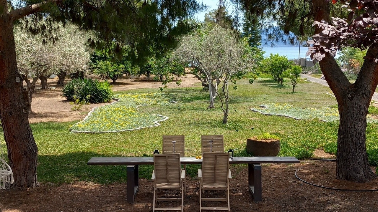 Photo of Outdoor in Agii Theodori