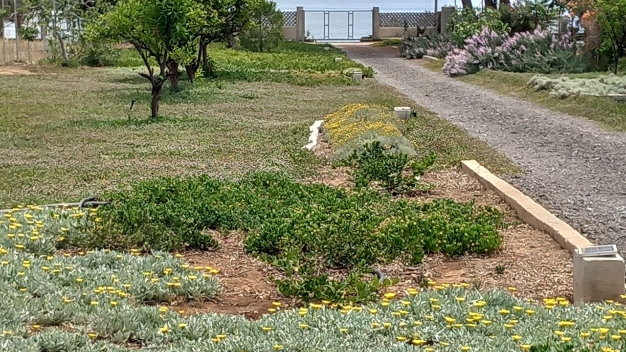 Photo of Outdoor in Agii Theodori