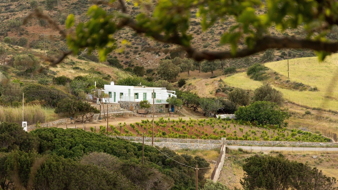 Photo of Outdoor in Naxos
