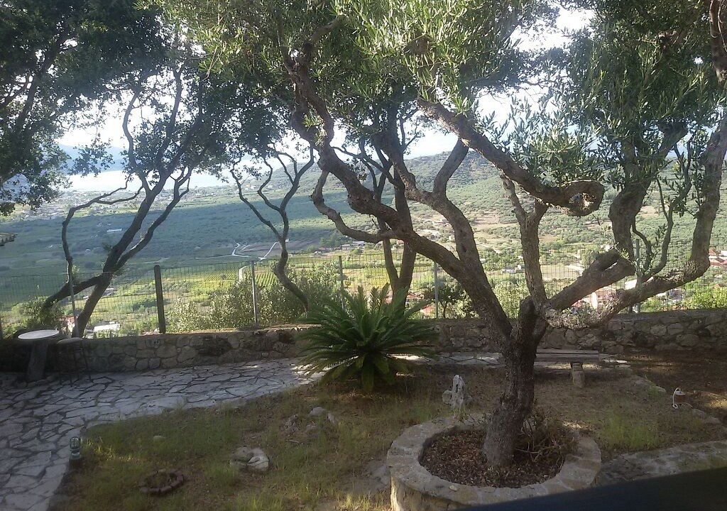 Photo of Outdoor in Alonia