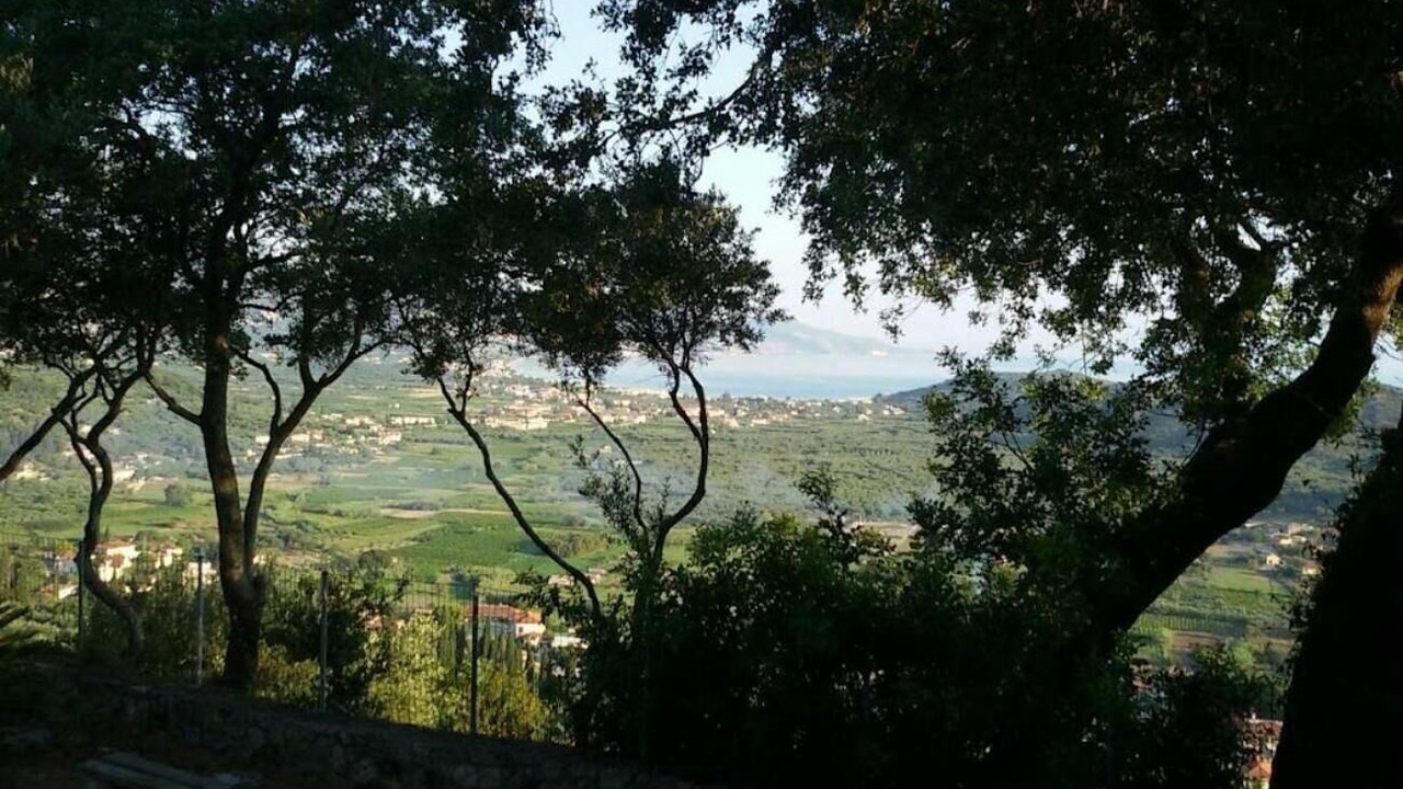 Photo of Others in Alonia