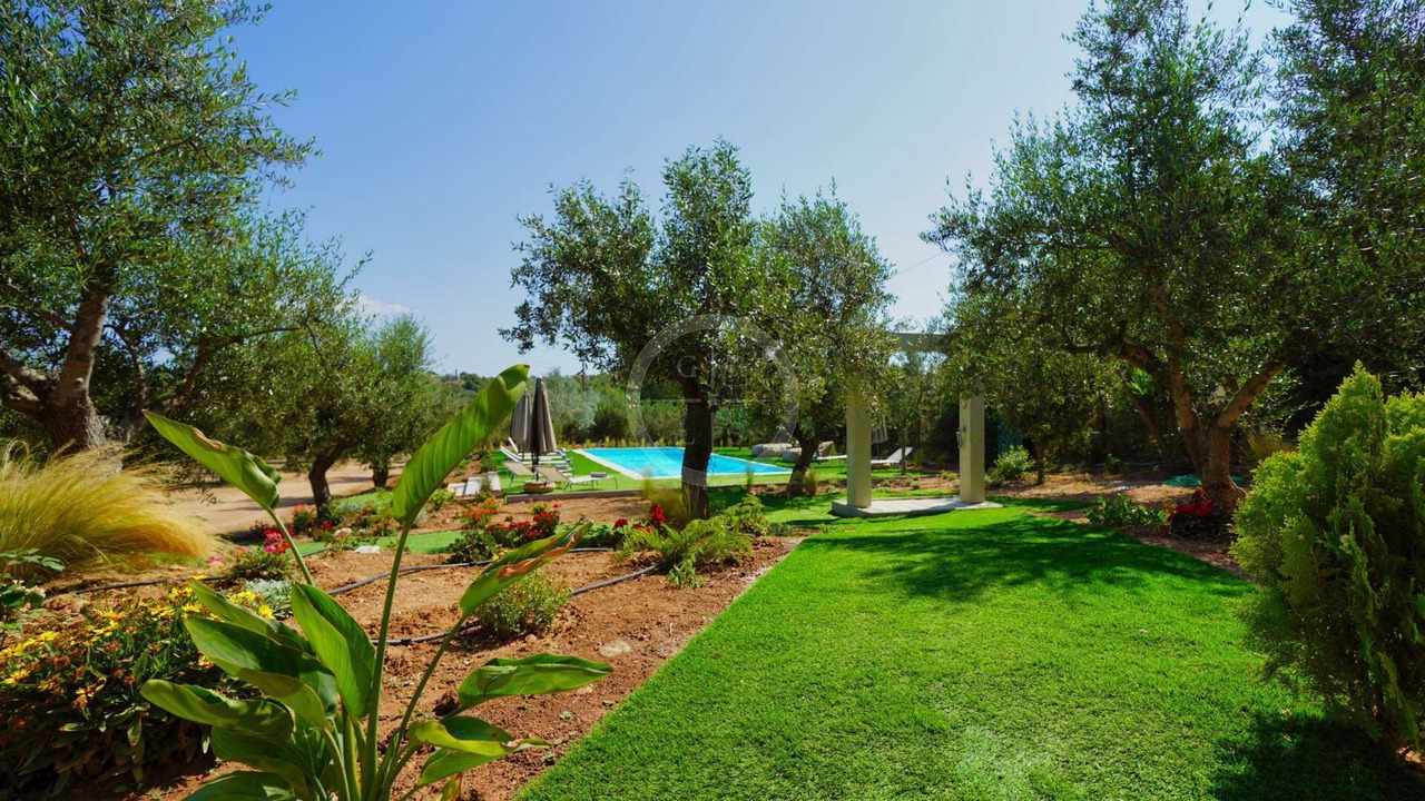 Photo of Outdoor in Papastavraiika