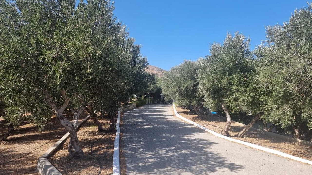 Photo of Outdoor in Agia Galini