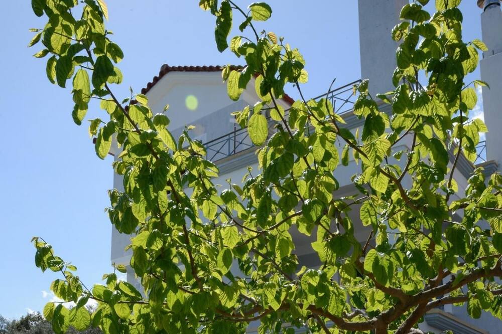 Photo of Patio Balcony in Sourpi