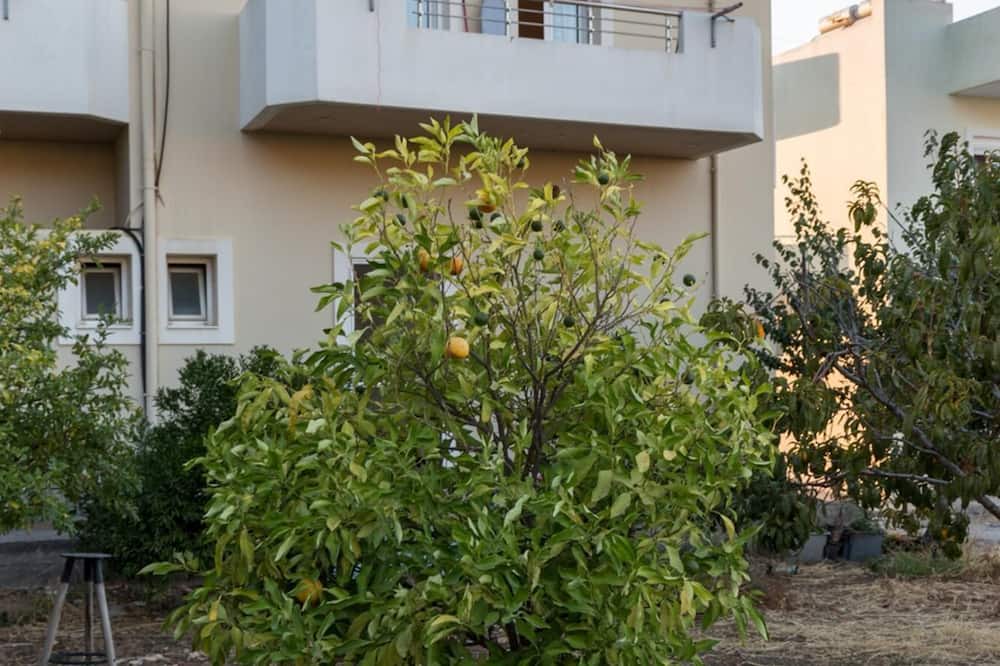 Photo of Outdoor in Archanes-Asterousia