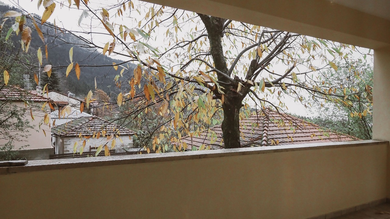 Photo of Outdoor in Elati