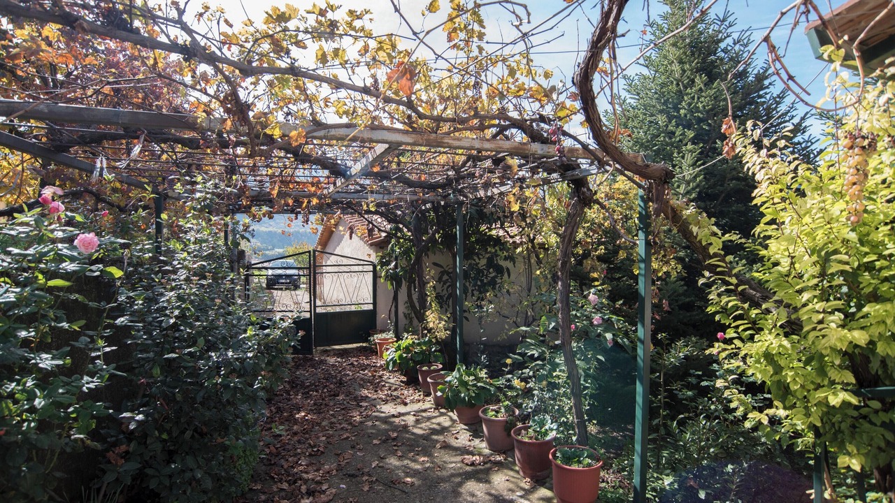 Photo of Outdoor in Manna