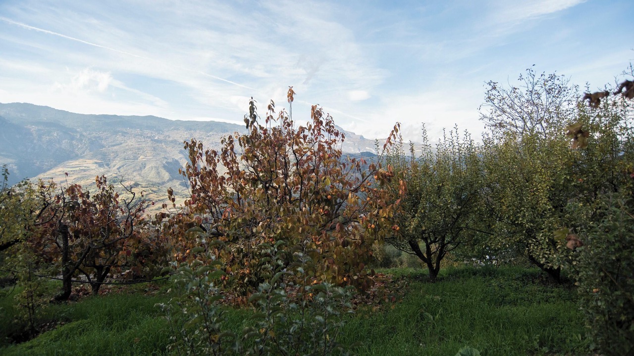 Photo of Others in Manna