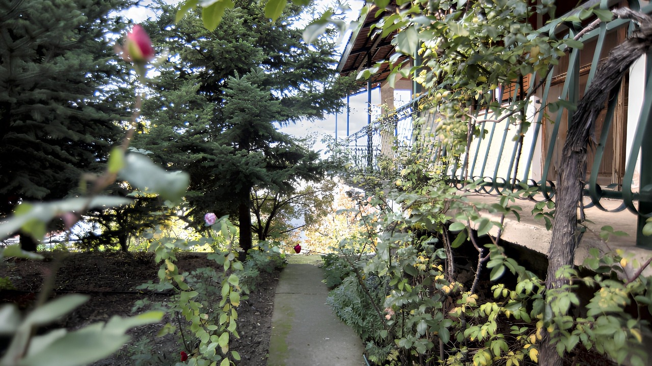Photo of Outdoor in Manna