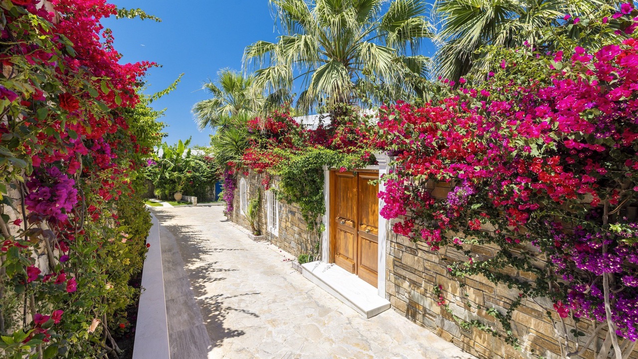 Photo of Outdoor in Neromilos