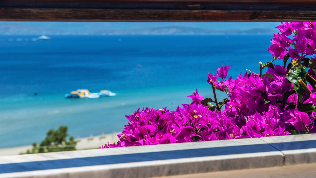 Photo of Outdoor in Apraos