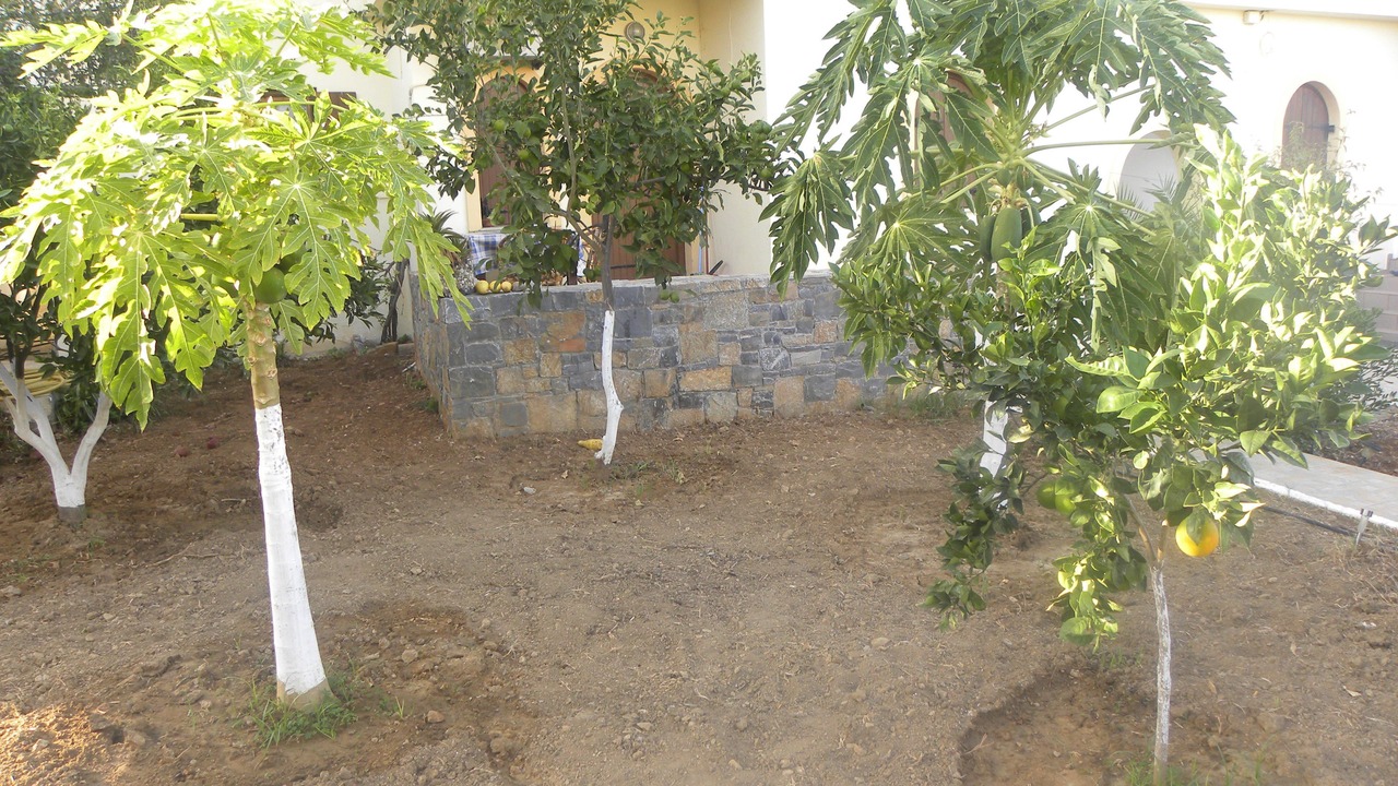 Photo of Outdoor in Milatos Beach