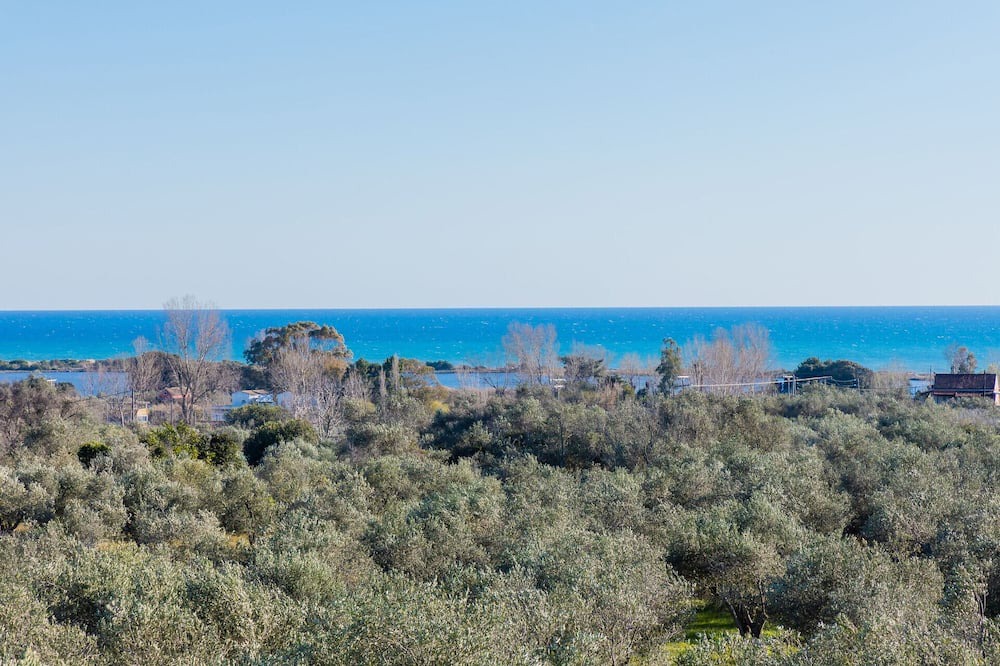 Photo of Others in Dafnata