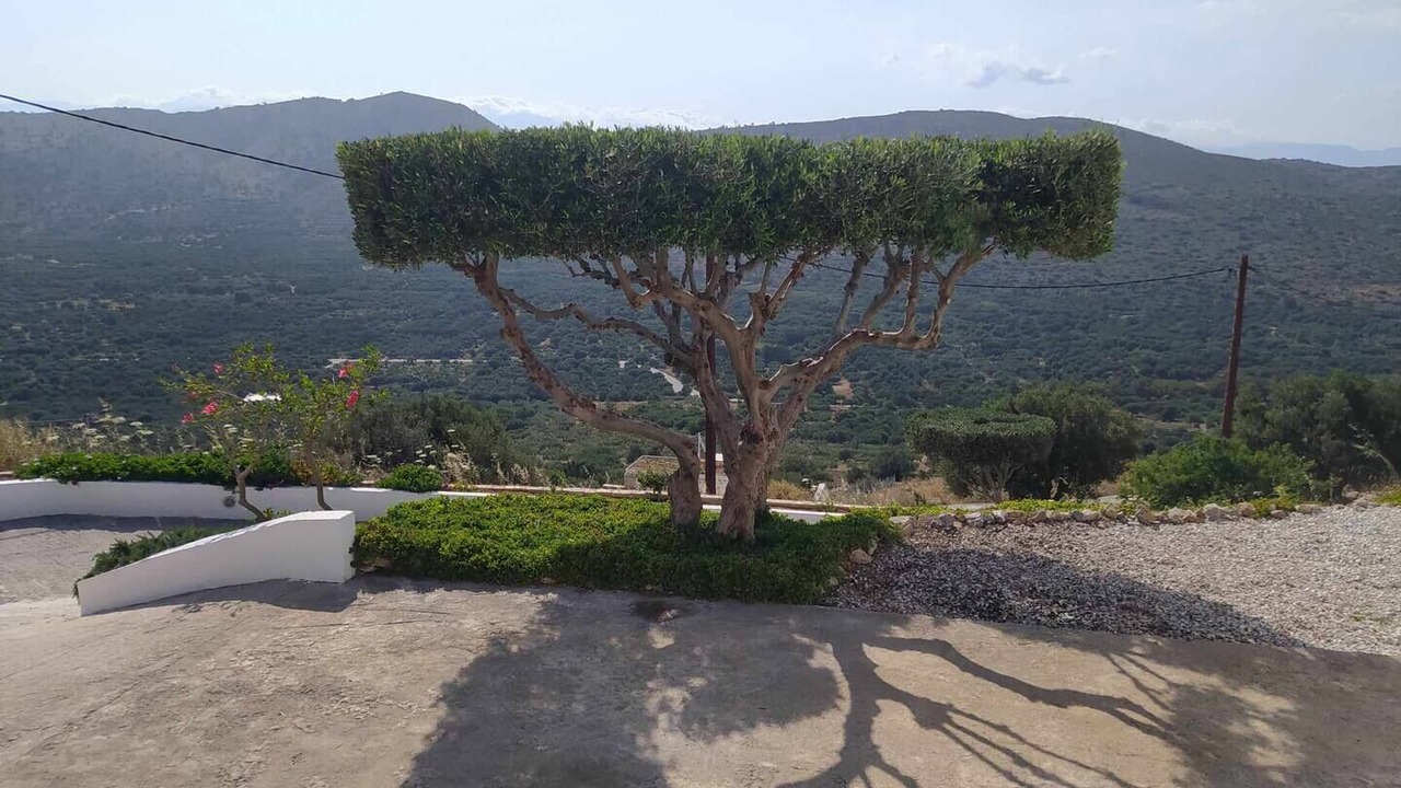 Photo of Outdoor in Kavousi