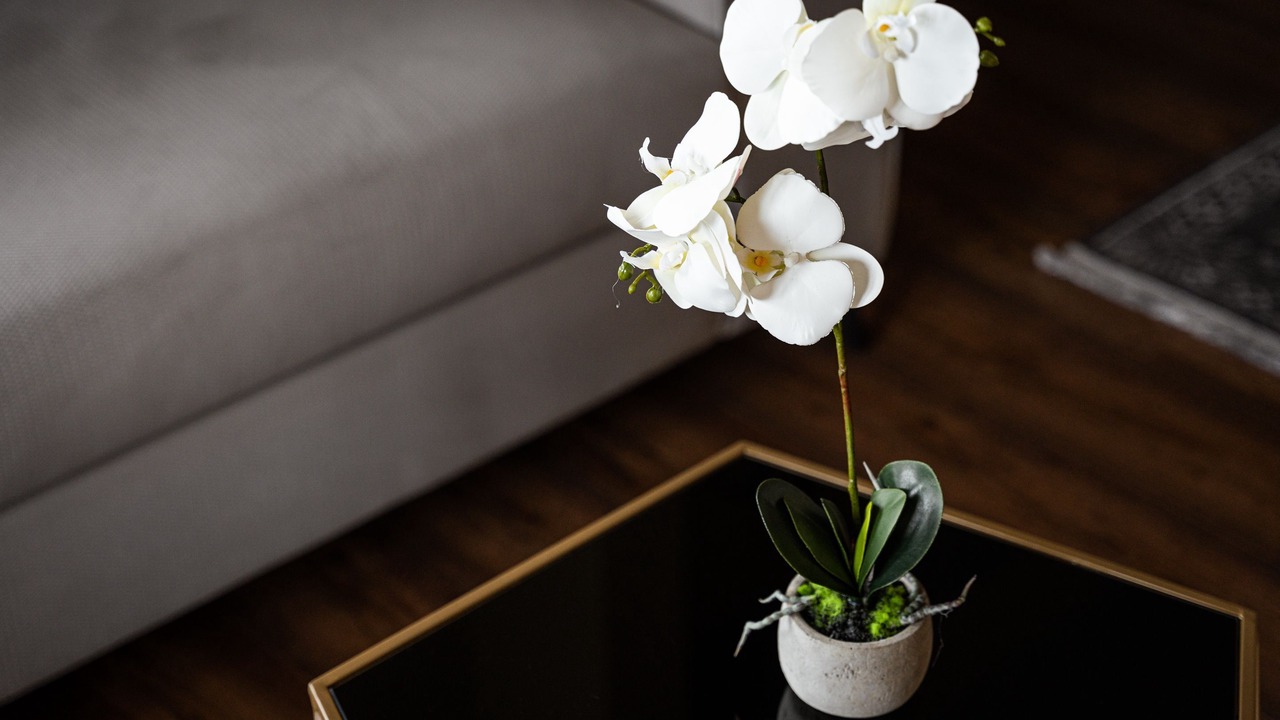 Photo of Livingroom in Glyfada