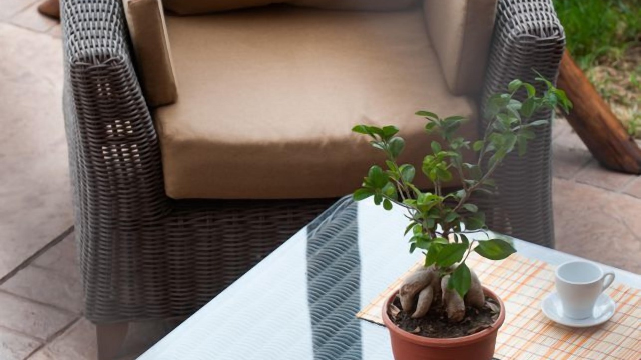 Photo of Patio Balcony in Katachas