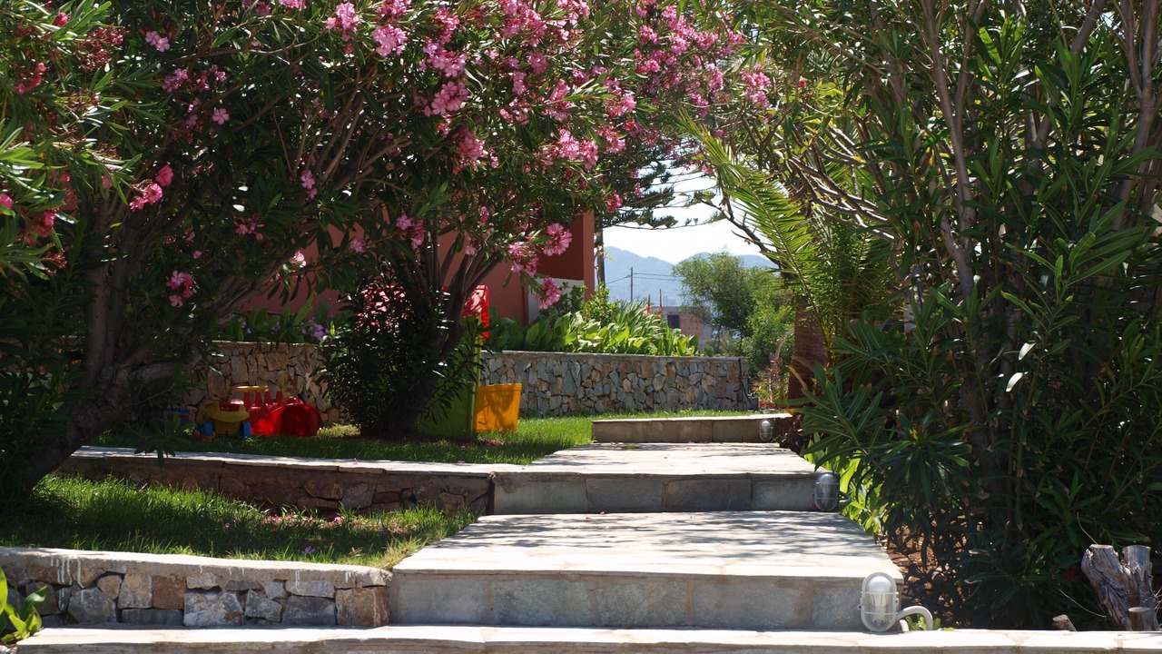 Photo of Outdoor in Stavros