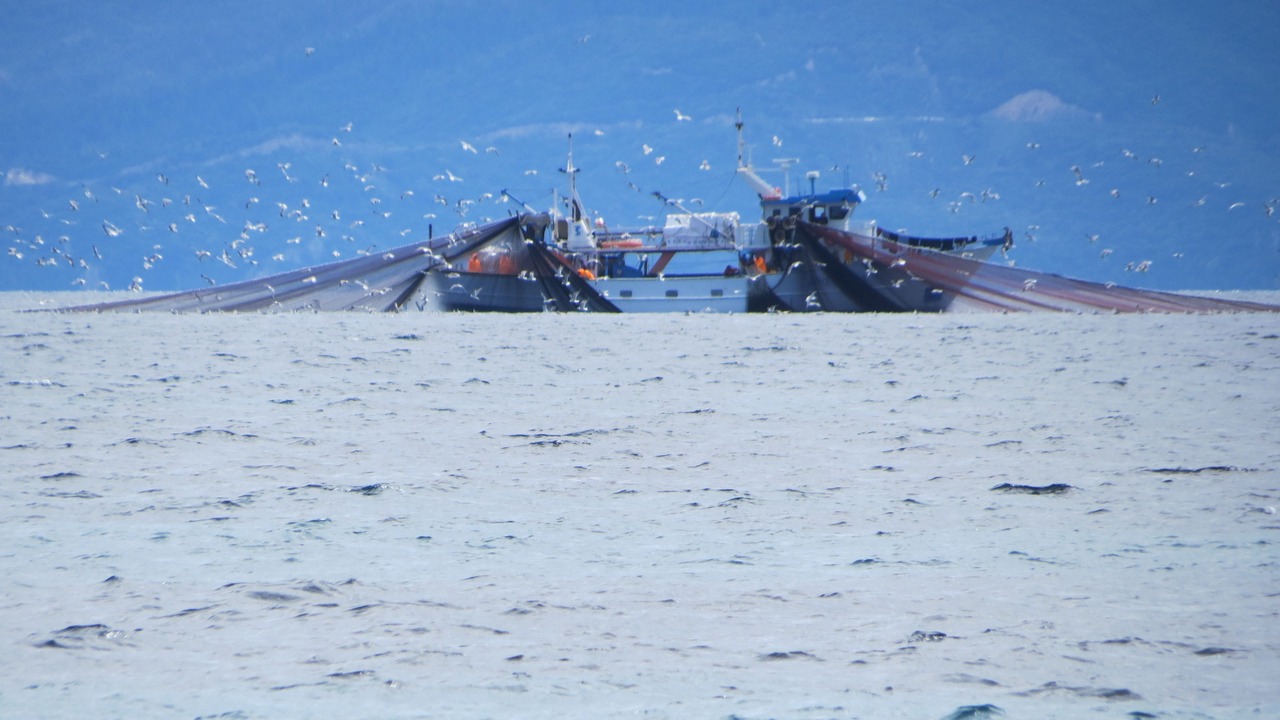 Photo of Others in Ouranoupoli