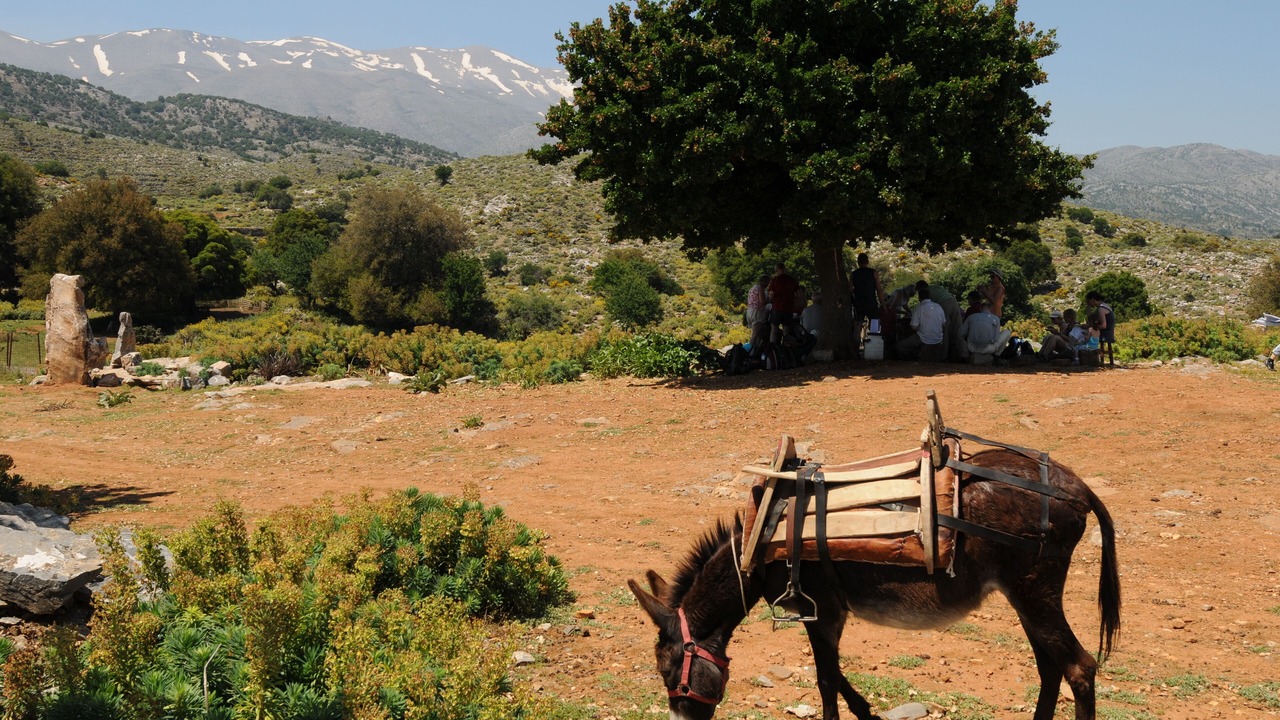 Photo of Outdoor in Kateriana