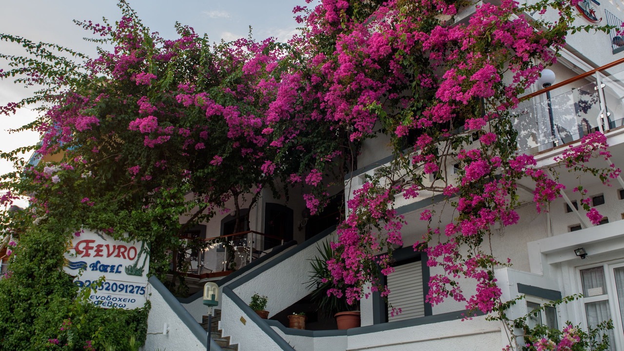 Photo of Outdoor in Agia Galini