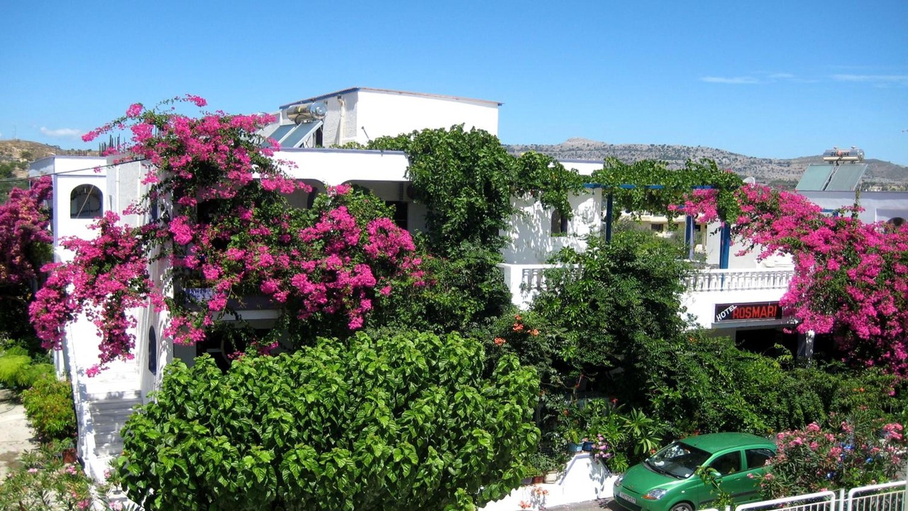 Photo of Outdoor in Archangelos
