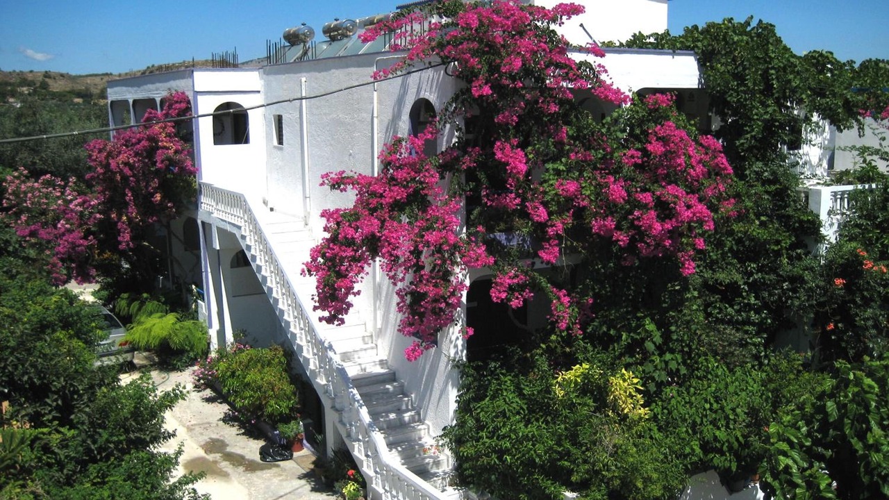 Photo of Outdoor in Archangelos