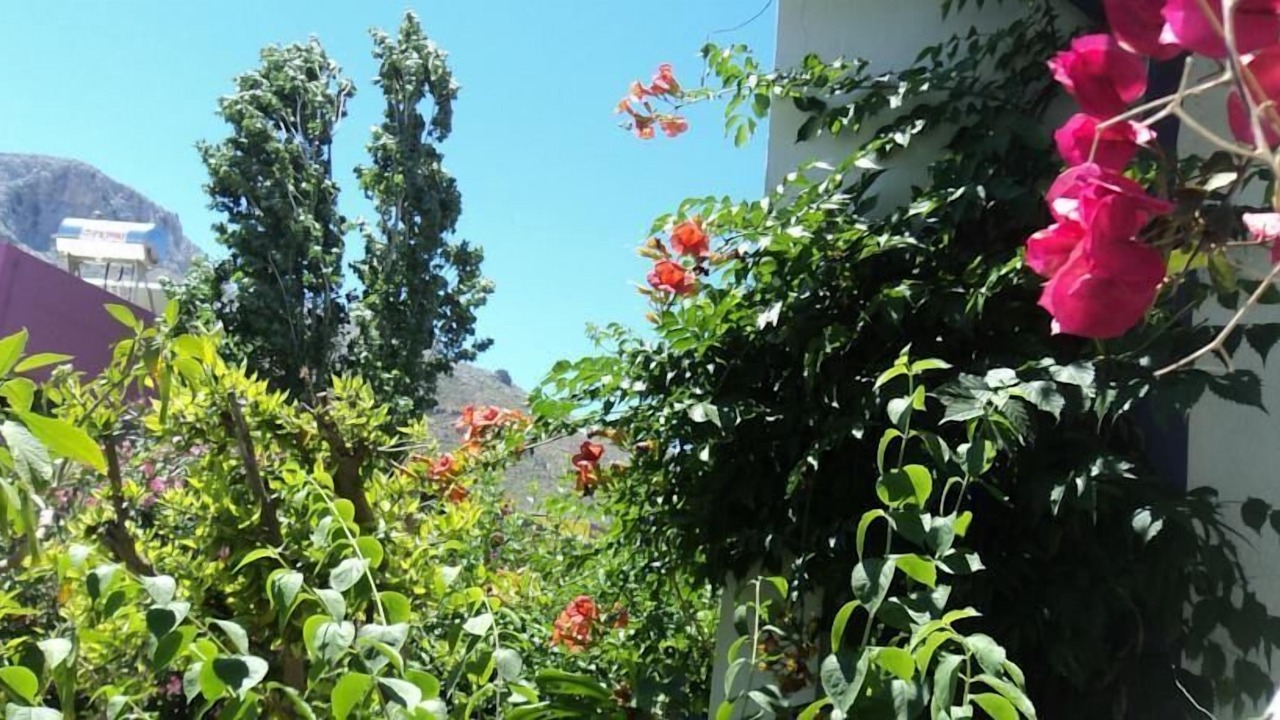 Photo of Bedroom in Archangelos