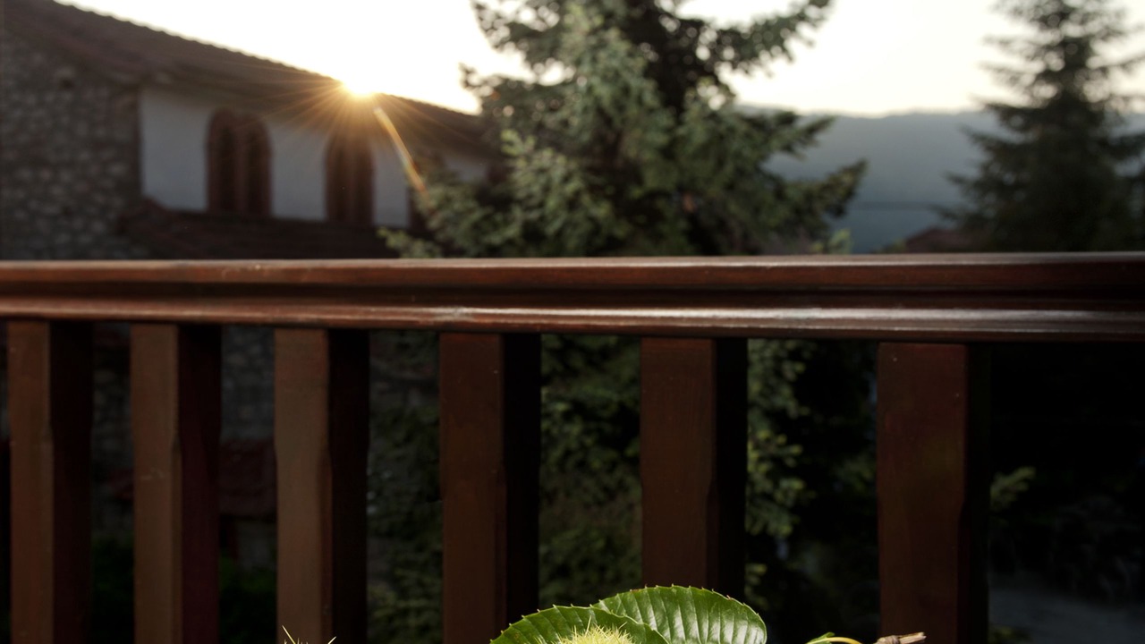 Photo of Patio Balcony in Elati
