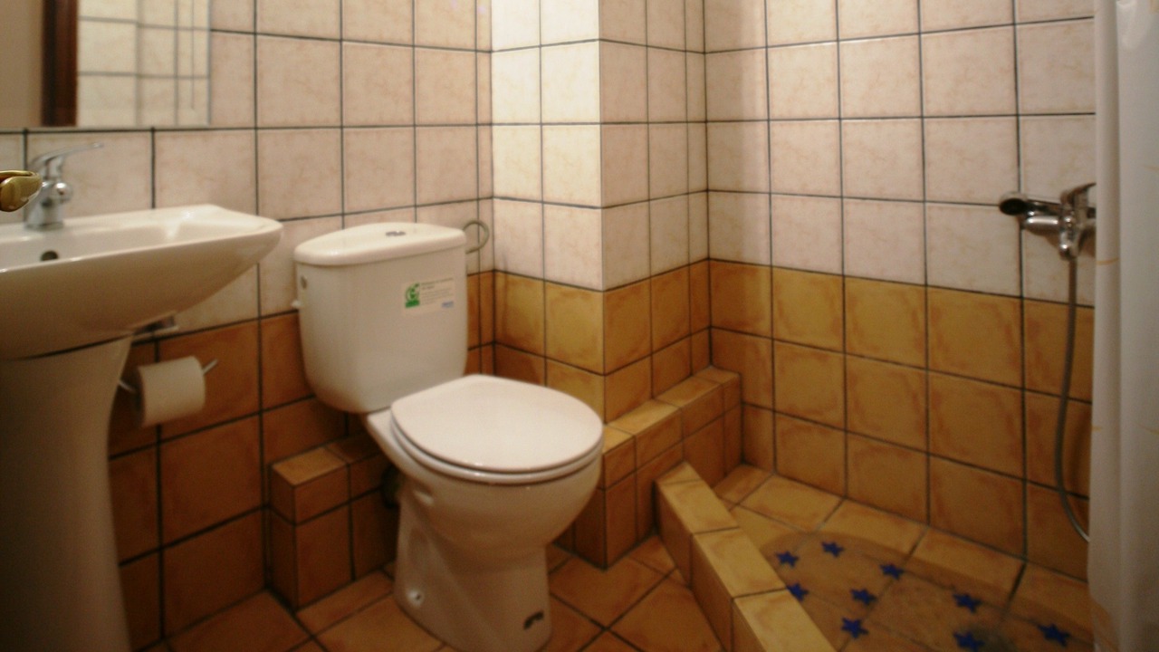 Photo of Bathroom in Elati