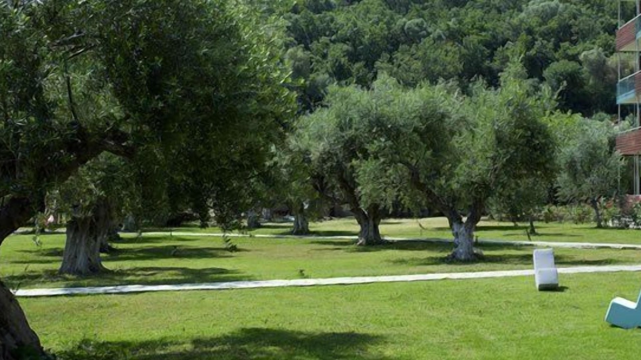 Photo of Outdoor in Karvelas