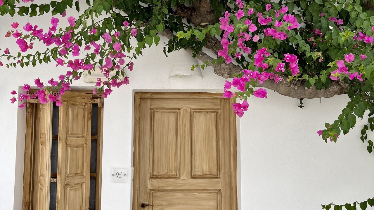 Photo of Outdoor in Kamari