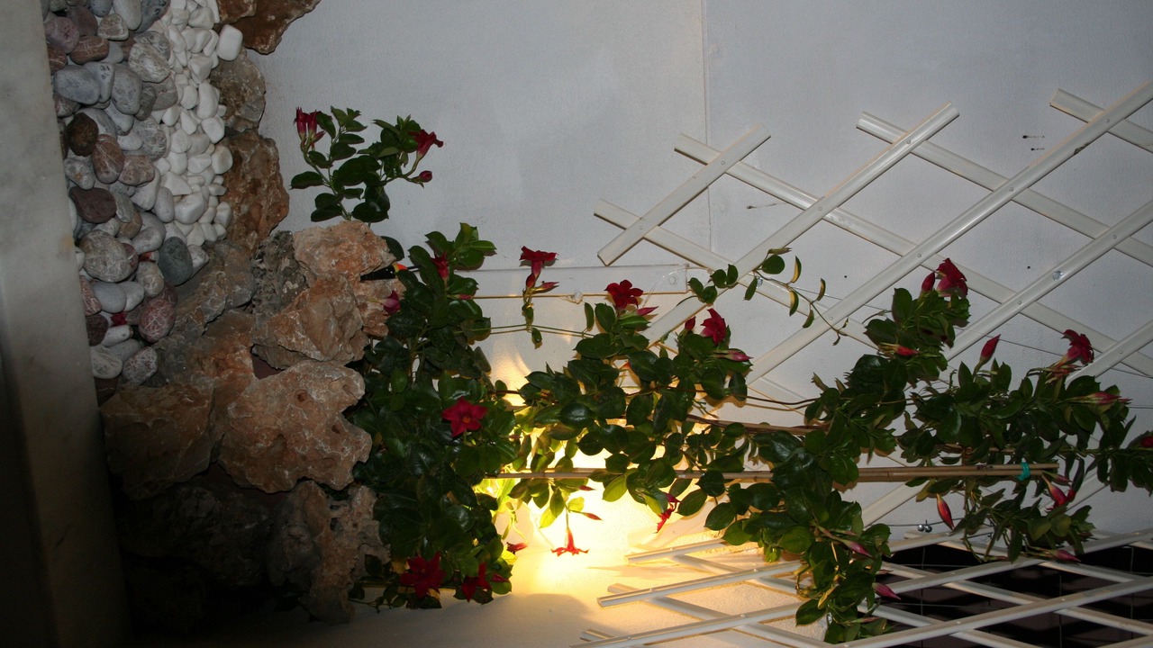 Photo of Outdoor in Archangelos
