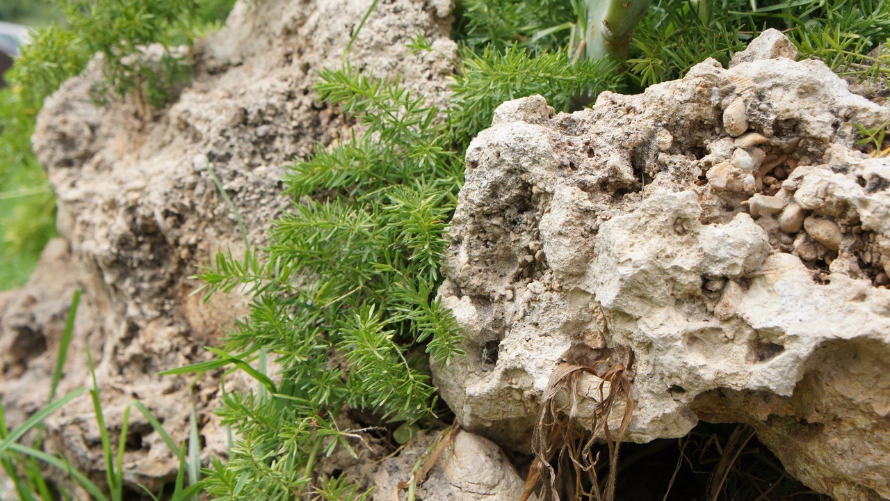 Photo of Outdoor in Kallithea