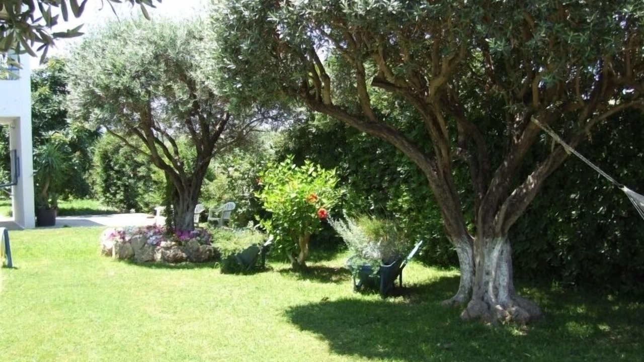 Photo of Outdoor in Afandou