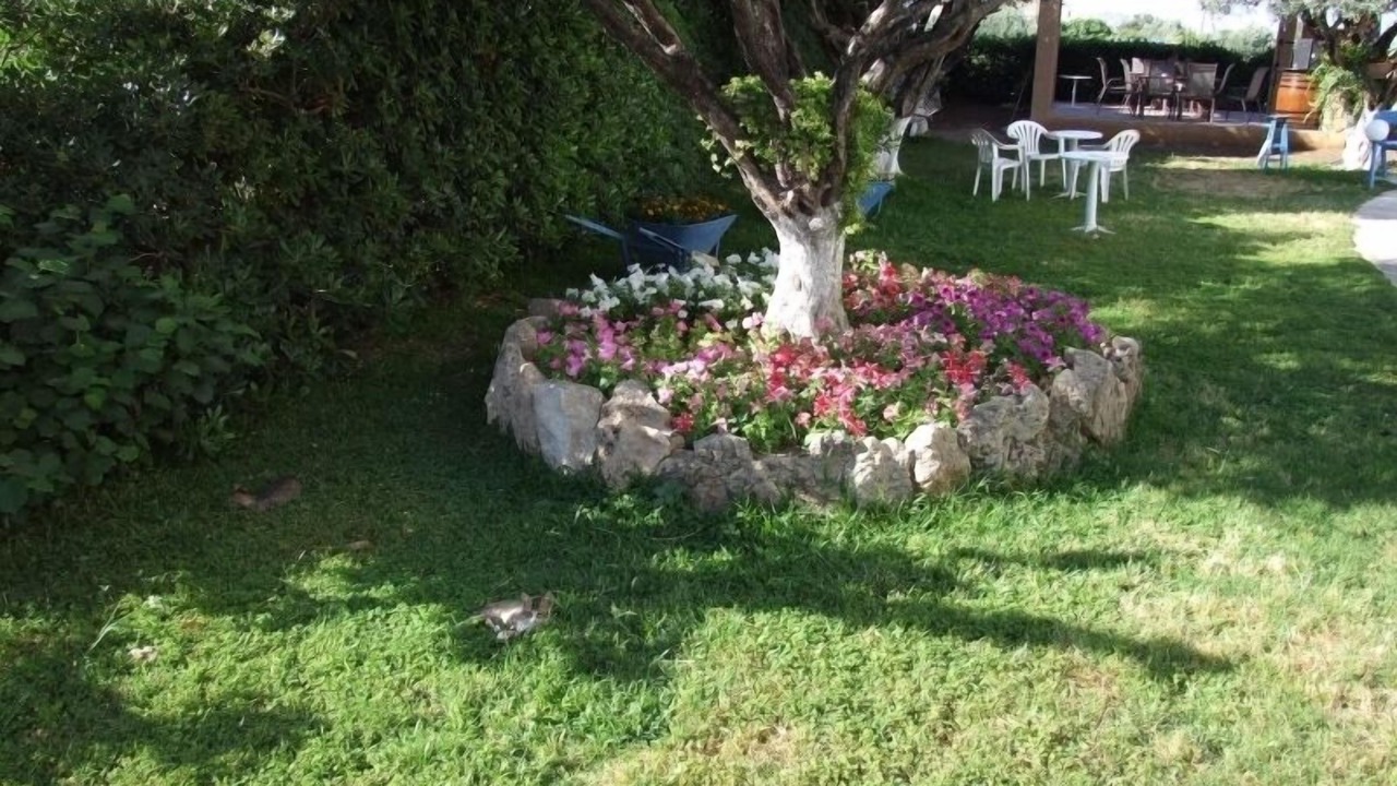 Photo of Outdoor in Afandou