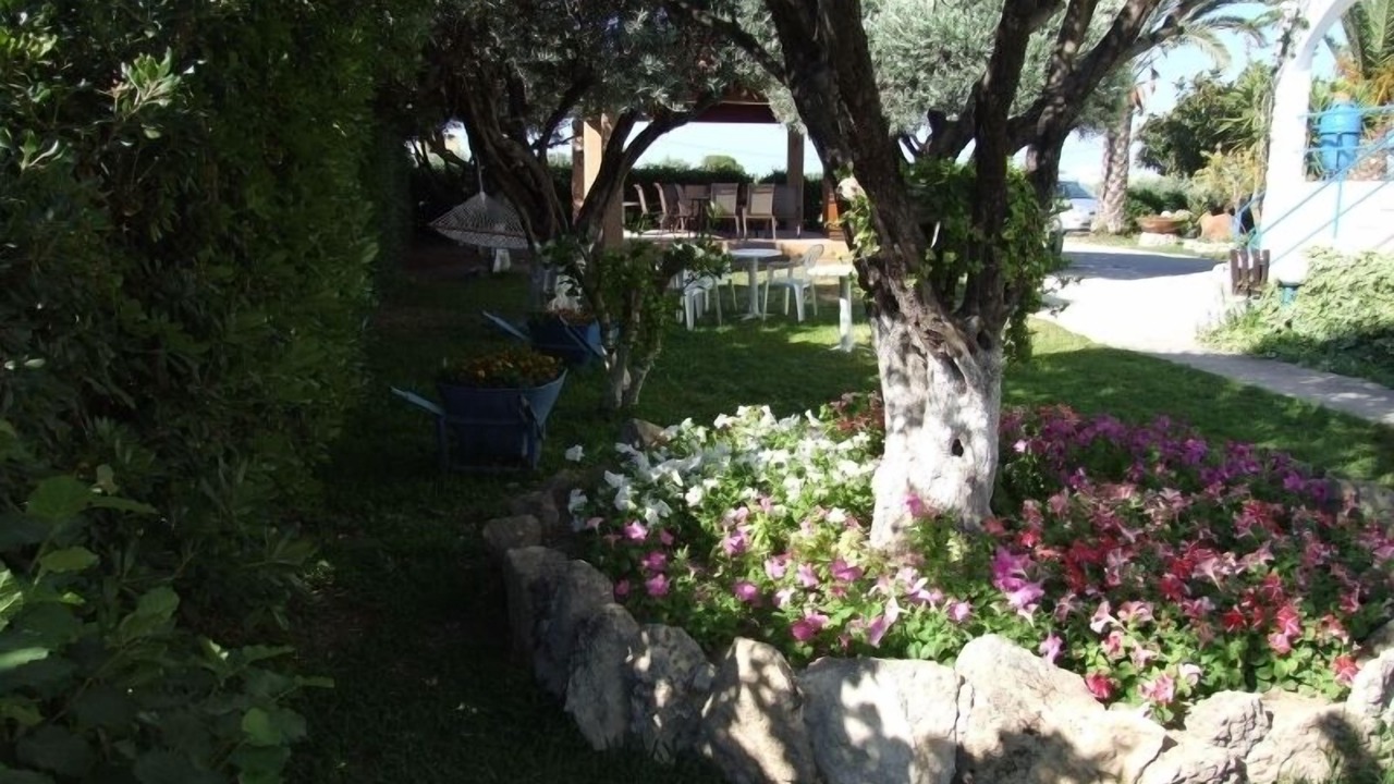 Photo of Outdoor in Afandou