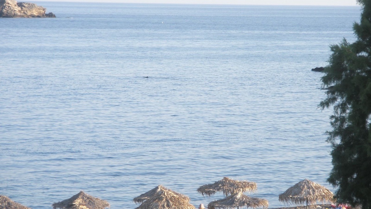 Photo of Others in Agia Fotia