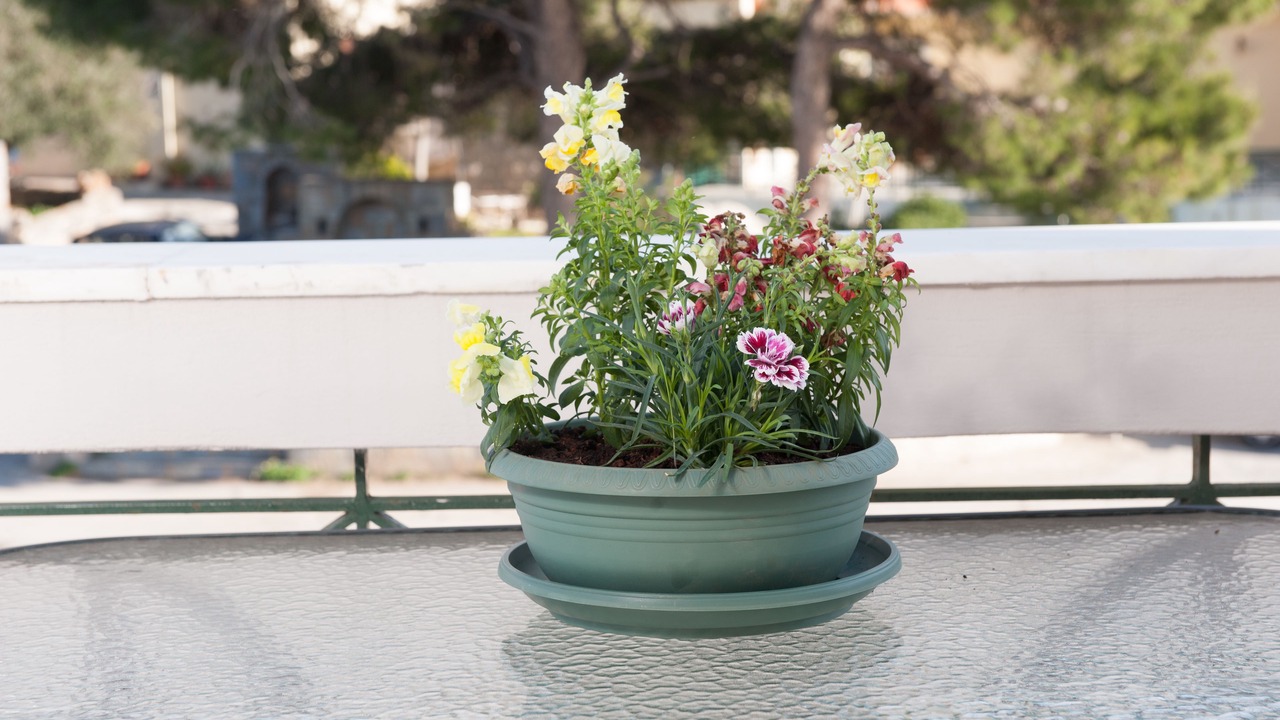 Photo of Patio Balcony in Kalo Chorio