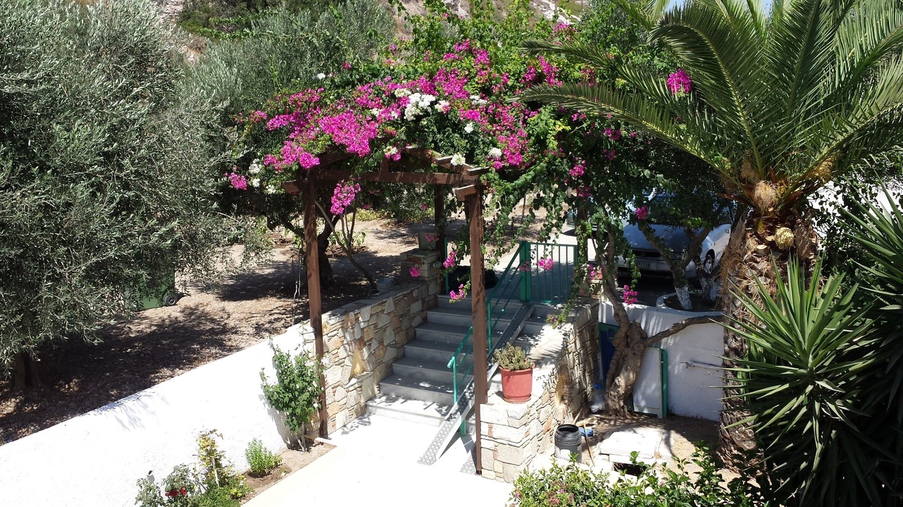 Photo of Outdoor in Kefalos